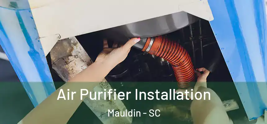 Air Purifier Installation Mauldin - SC