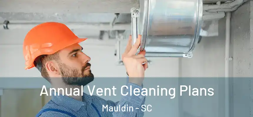 Annual Vent Cleaning Plans Mauldin - SC