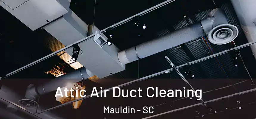 Attic Air Duct Cleaning Mauldin - SC