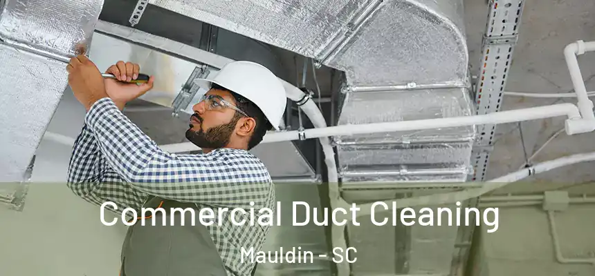  Commercial Duct Cleaning Mauldin - SC
