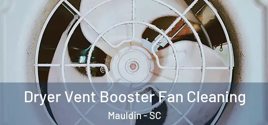 Dryer Vent Booster Fan Cleaning Mauldin - SC