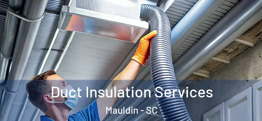 Duct Insulation Services Mauldin - SC