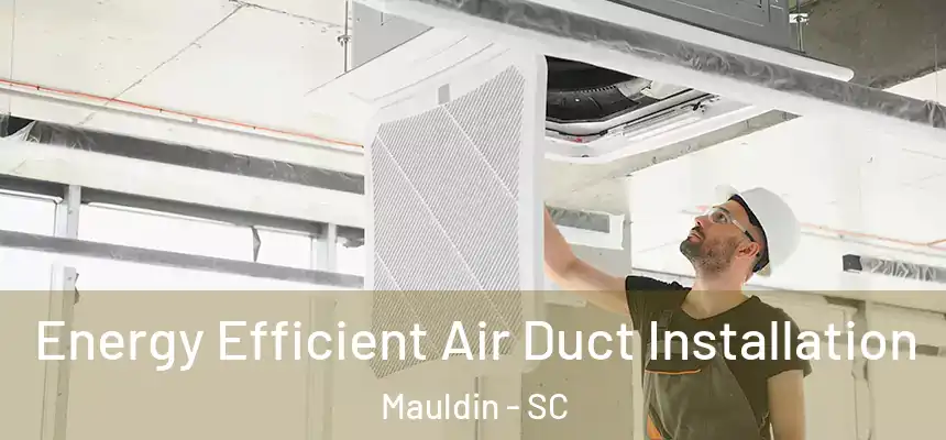 Energy Efficient Air Duct Installation Mauldin - SC