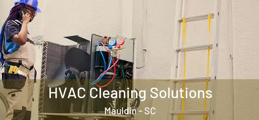  HVAC Cleaning Solutions Mauldin - SC