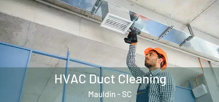 HVAC Duct Cleaning Mauldin - SC