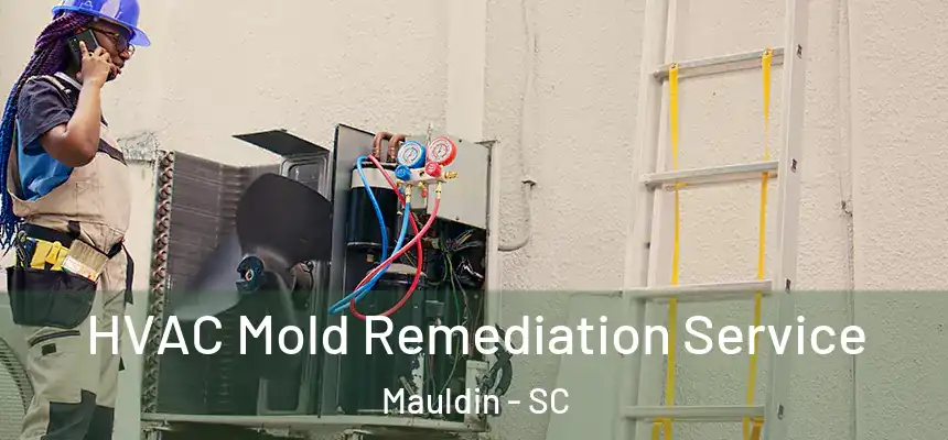 HVAC Mold Remediation Service Mauldin - SC