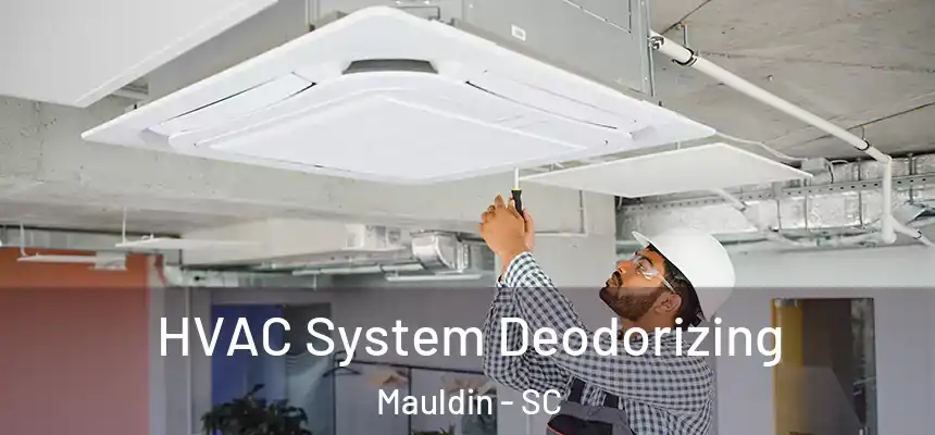 HVAC System Deodorizing Mauldin - SC