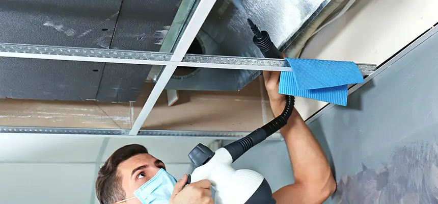 Our Air Duct Rodent Removal Services in Mauldin, SC