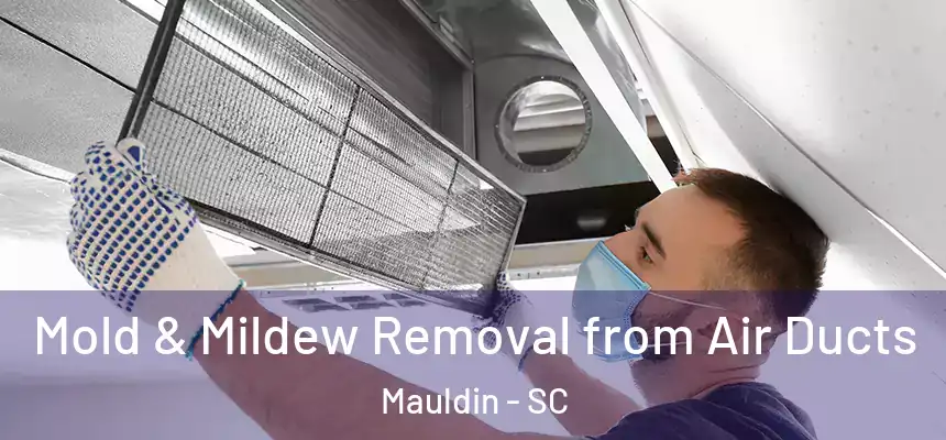  Mold & Mildew Removal from Air Ducts Mauldin - SC