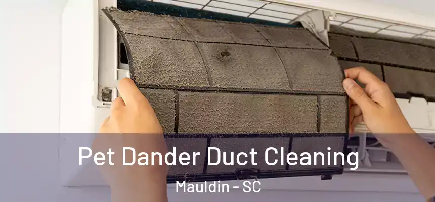 Pet Dander Duct Cleaning Mauldin - SC