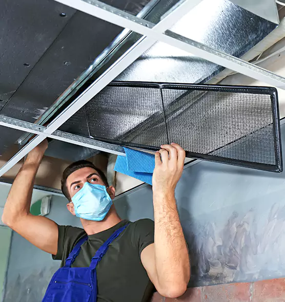 About Air Duct Bacteria Removal in Mauldin