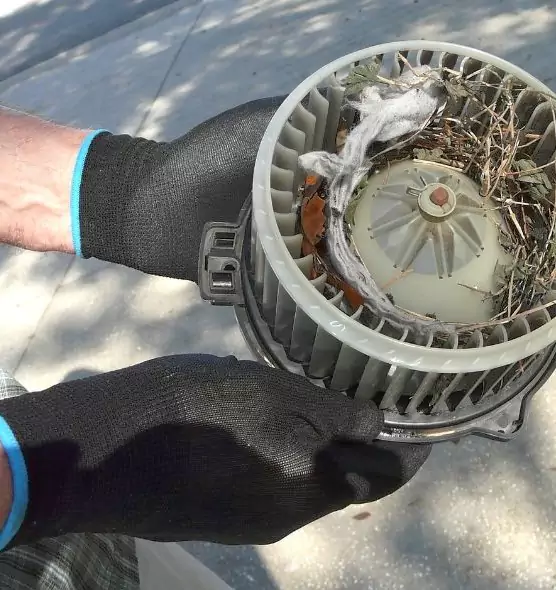 About Air Duct Mice Removal in Mauldin, SC