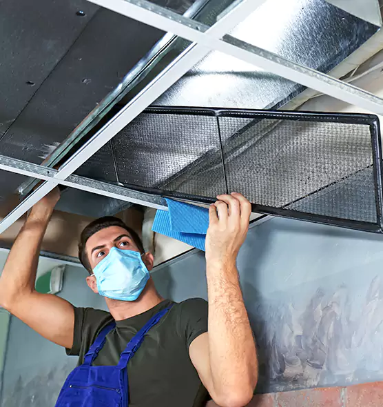Professional Air Duct Pollen Cleaning in Mauldin, SC