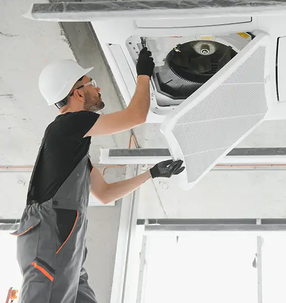 About Air Duct Rodent Removal in Mauldin, SC