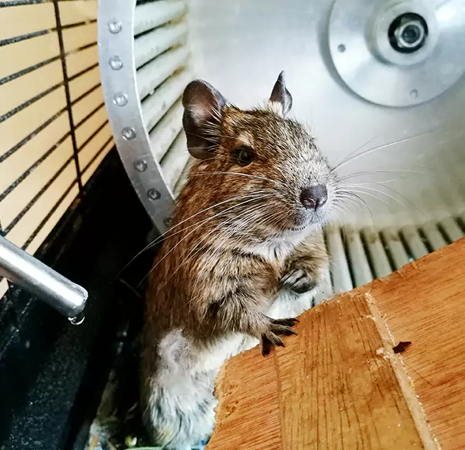 Why Homeowners & Businesses Trust Us Mauldin, SC?