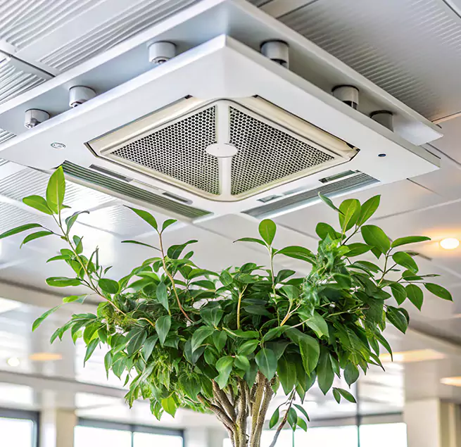 Why Homeowners & Businesses Trust Us in Mauldin, SC?