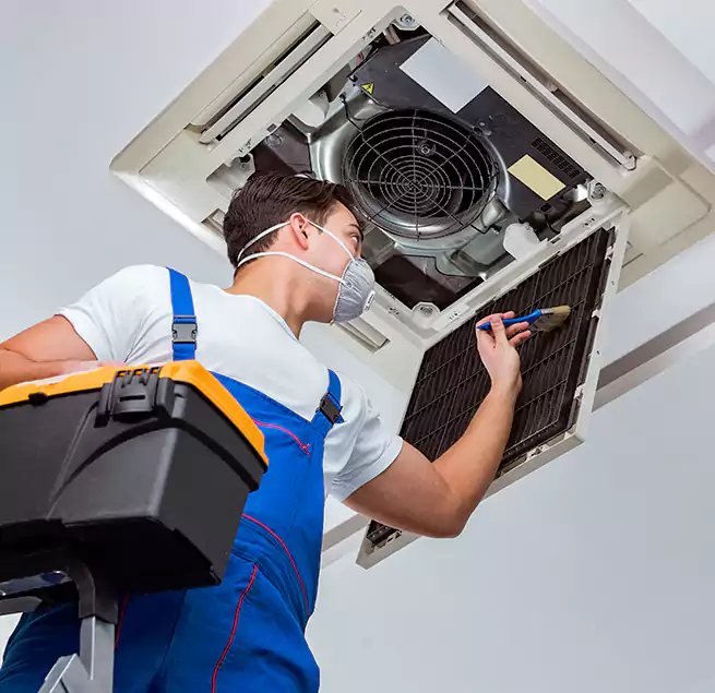 Why Homeowners & Businesses Trust Us in Mauldin, SC?