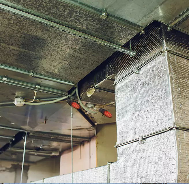 Why Homeowners & Businesses Trust Us Mauldin, SC?